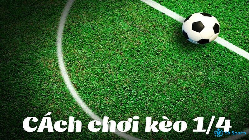 kèo 1/4 là bao nhiêu
