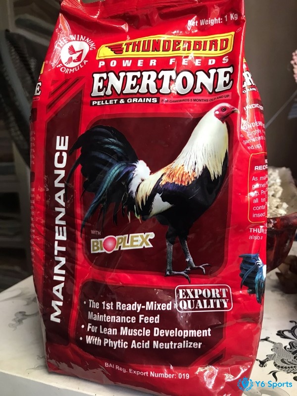 Thunderbird là thức ăn cho gà đá công nghệ Mỹ cho gà mọi độ tuổi