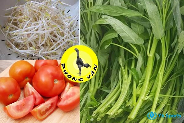 Cùng 868h.org tìm hiểu chi tiết về gà đá ăn gì nhé!