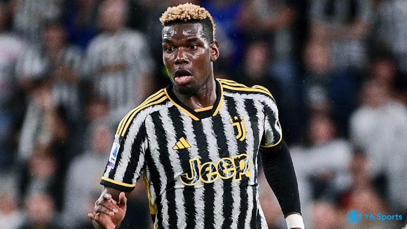 Paul Pogba là một cầu thủ người Pháp với tổng giá trị lên tới 130 triệu đô la
