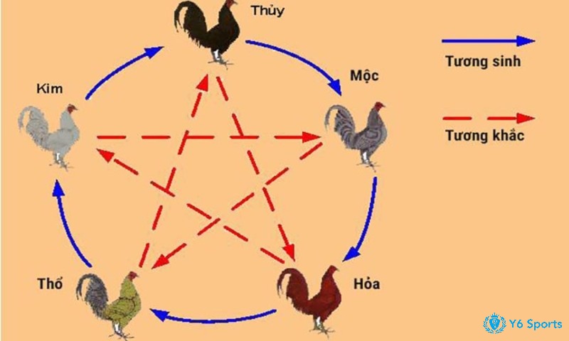 Xem lịch đá gà theo ngày theo ngũ hành