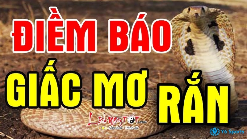 Rắn bò vào nhà nhiều và ý nghĩa tâm lý