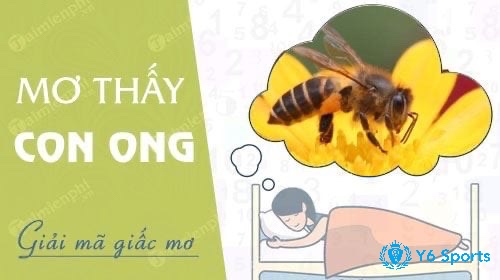 Giấc mơ bị ong đốt được nhiều người xem là điềm báo tâm linh, gắn liền với những con số may mắn trong lô đề