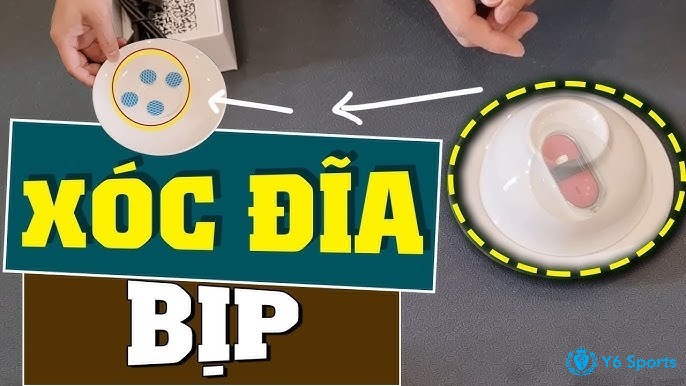 Phân biệt giữa sóc dĩa thông thường và cách chơi sóc dĩa bịp đòi hỏi sự tinh ý
