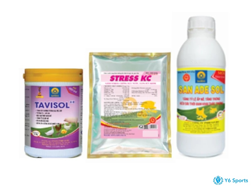 Nước sạch và vitamin giúp gà phục hồi nhanh, tăng sức đề kháng hiệu quả