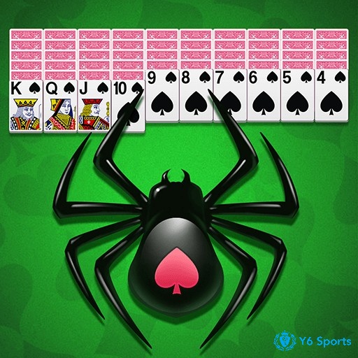 Cùng 868h tìm hiểu tổng quan về game bài nhện là gì nhé