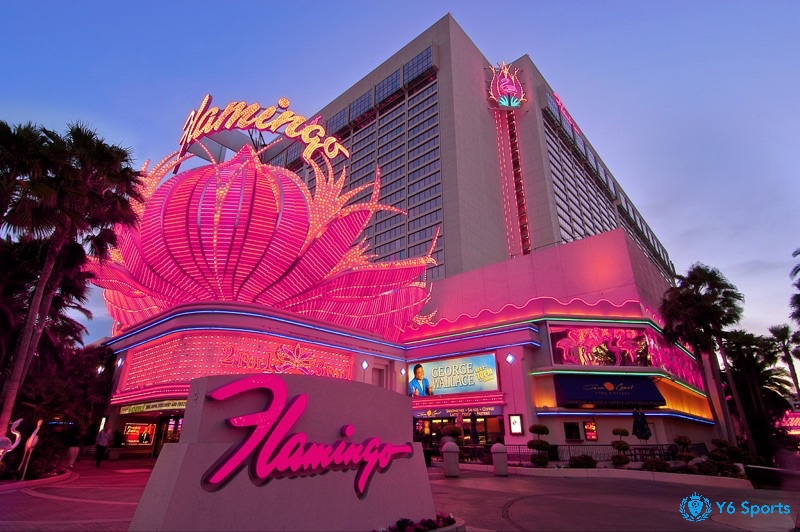 Flamingo thu hút du khách nhờ khu vườn nhiệt đới độc đáo, thiết kế Art Deco và không gian giải trí đa dạng
