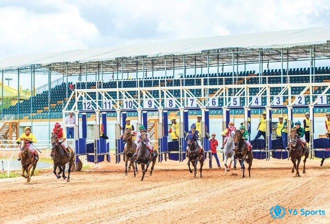 Tìm hiểu kỹ thông tin về mỗi chiến mã sẽ giúp anh em đưa ra những dự đoán chính xác hơn