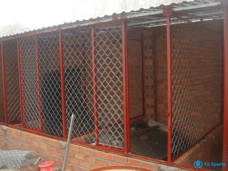 Xây chuồng vào mùa khô và tự thi công giúp giảm chi phí phát sinh không cần thiết