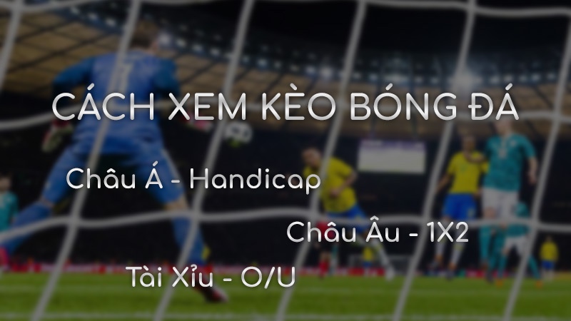 Kèo tài xỉu 0 5 là gì? Hướng dẫn đọc và kinh nghiệm cá cược