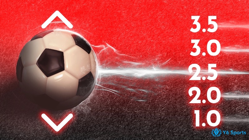 Các tỷ lệ phổ biến giúp người chơi dễ dàng chọn lựa kèo phù hợp.