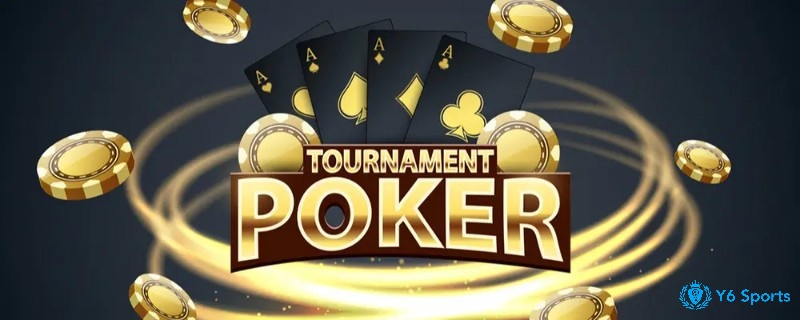 Dealer, Blind, Chip hay Pot là nền tảng để bạn hiểu cách vận hành từng ván Poker hiệu quả