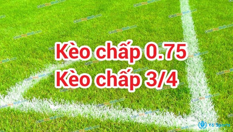 Kèo 0.5 và 0.75 là lựa chọn quen thuộc trong tỷ lệ châu Á World Cup, thể hiện rõ sự nhỉnh hơn của đội cửa trên