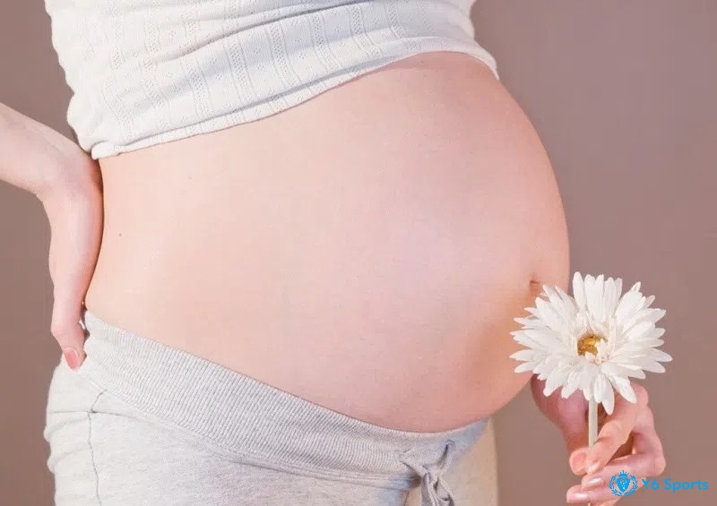 Giấc mơ thấy mình mang thai thể hiện cho sự cân bằng giữa các yếu tố ngũ hành