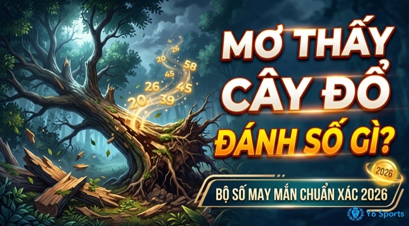 Mơ thấy cây đổ đánh số gì? Giải mã chi tiết từng trường hợp