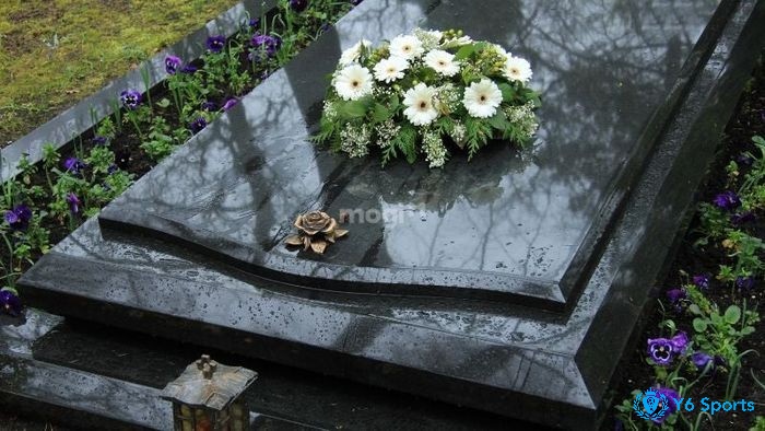 Giấc mơ thấy mộ nở hoa là điềm lành đến với bạn
