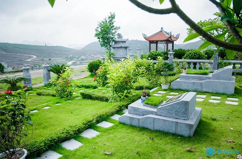 Giải mã giấc mơ thấy mộ mả đánh con gì và các điềm báo liên quan