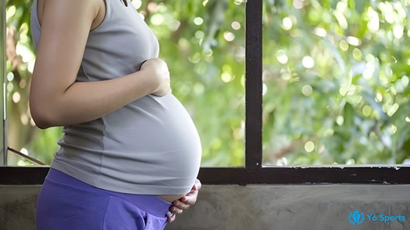 Giấc mơ thấy có bầu có ý nghĩa liên quan đến sự sinh trưởng và nuôi dưỡng